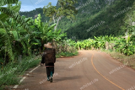 Traditionell gekleidete Frau von einem Stamm der Lahu oder Lisu beim Dof Chiang Dao noerdlich von Chiang Mai im Norden von Thailand. 