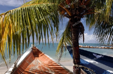 Suedamerika, Karibik, Venezuela, Isla Margarita, Pedro Gonzalez, Playa Pedro Gonzalez, Beach, Strand, Bucht, Fischerdorf, Fischerboot, Holzboot, Palmen, Ferien, Traumstrand, Idylle, Landschaft