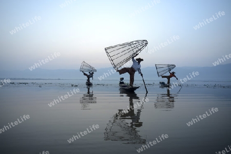 Fishermen at sunrise in the Landscape on the Inle Lake in the Shan State in the east of Myanmar in Southeastasia.