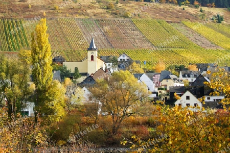 Burg an der Mosel