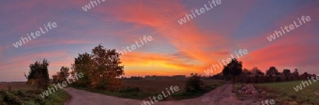 Beautiful high resolution panorama of a northern european country landscape with fields and green grass.