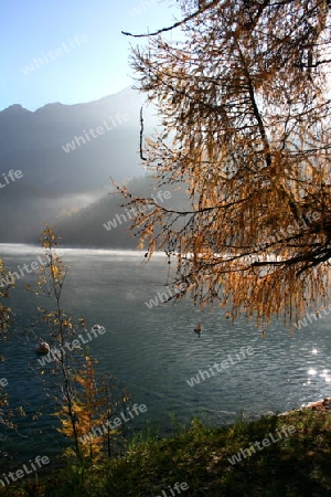 Herbsstimmung am Champfersee