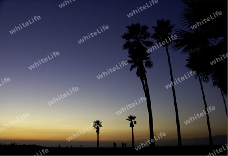 Venice Beach