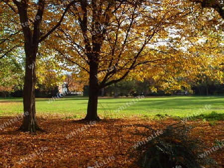 Herbst im Park