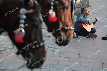 Pferdekutschen warten auf die Kundschaft auf dem Rynek Glowny Platz mit der Marienkirche in der Altstadt von Krakau im sueden von Polen. 
