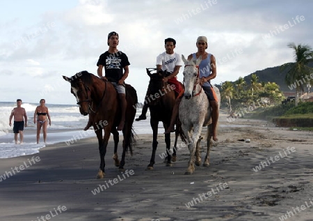 Suedamerika, Karibik, Venezuela, Isla Margarita, Ostkueste, Cuacuco, Playa Cuacuco, Strand, Beach, Meer, Pferd, Reiten, Landschaft,  