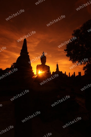 Eine Buddha Figur  im Wat Mahathat Tempel in der Tempelanlage von Alt-Sukhothai in der Provinz Sukhothai im Norden von Thailand in Suedostasien.