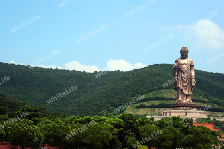 Big Buddha