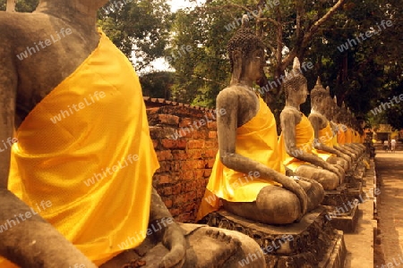 Der Wat Yai Chai Tempel in der Tempelstadt Ayutthaya noerdlich von Bangkok in Thailand.