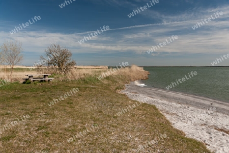 Am Boddstetter Bodden, Nationalpark Vorpommersche Boddenlandschaft, Deutschland