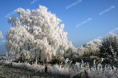 Winterlandschaft