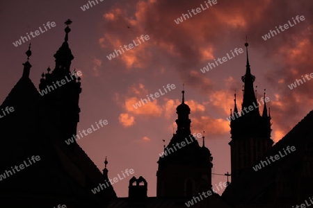 Der Rynek Glowny Platz mit der Marienkirche in der Altstadt von Krakau im sueden von Polen. 