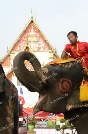 Das Songkran Fest oder Wasserfest zum Thailaendischen Neujahr ist im vollem Gange in Ayutthaya noerdlich von Bangkok in Thailand in Suedostasien.  