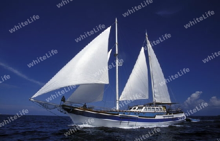 Ein Segelboot vor  einer Touristen Insel auf dem Malediven im Indischen Ozean.