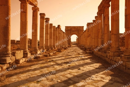 the Roman Ruins of Jerash in the north of Amann in Jordan in the middle east.