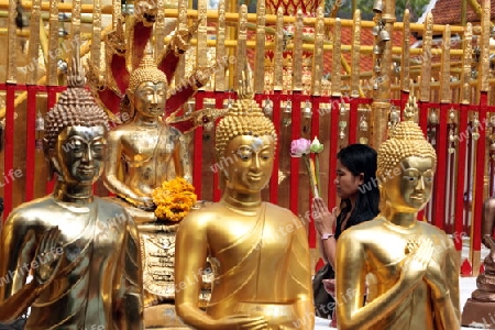 Die Architektur des Wat Phra That Doi Suthep Tempel in Chiang Mai im Norden von Thailand. 