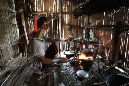 Eine Traditionell gekleidete Langhals Frau eines Paudang Stammes aus Burma lebt in einem Dorf noerdlich von Chiang Mai in Nord Thailand. 