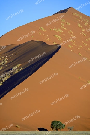 riesige Sandd?nen im letzten Abendlicht,  Namib Naukluft Nationalpark, Sossusvlei, Namibia, Afrika