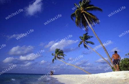 
Der Traumstrand mit Palmen und weissem Sand an der Insel Velavaru im Southmale Atoll auf den Inseln der Malediven im Indischen Ozean.   