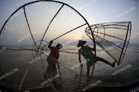 Fishermen at sunrise in the Landscape on the Inle Lake in the Shan State in the east of Myanmar in Southeastasia.