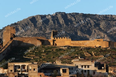 The Citywall in the old City in the historical Town of Fes in Morocco in north Africa.