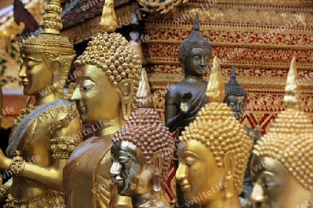 Die Architektur des Wat Phra That Doi Suthep Tempel in Chiang Mai im Norden von Thailand. 