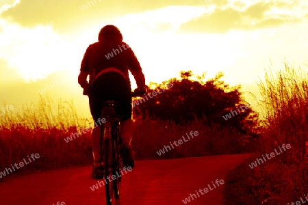 Radfahrer im Sonnenuntergang