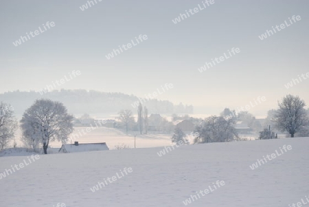 Sonnenfleck im Schneeland