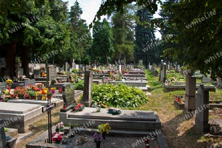 Nationalfriedhof Martin - Slowakei