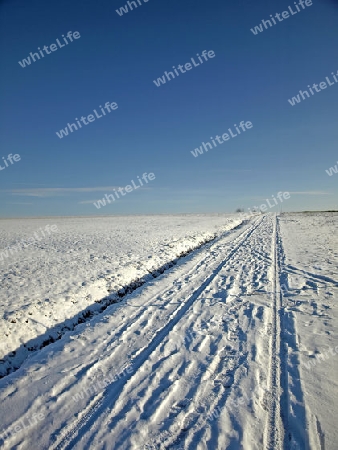 Winterlandschaft