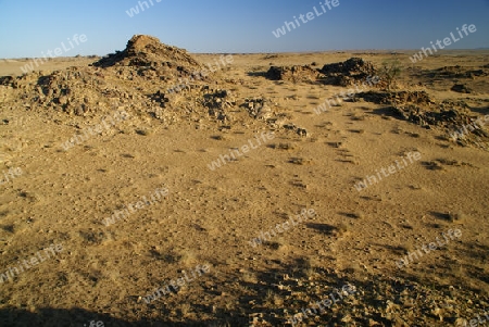 Mondlandschaft in der Gobi