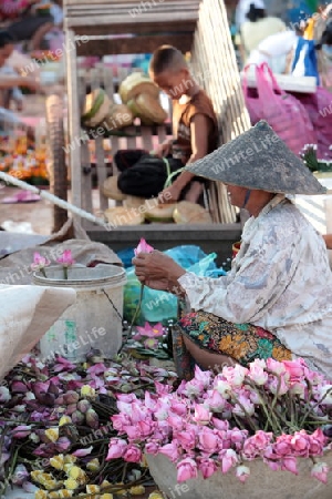 Eine Wahrenmesse beim traditionellen Bootsrennen in Vientiane der Hauptstadt von Laos in Suedostasien.  