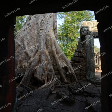 The Temple of  Banteay Kdei in the Temple City of Angkor near the City of Siem Riep in the west of Cambodia.