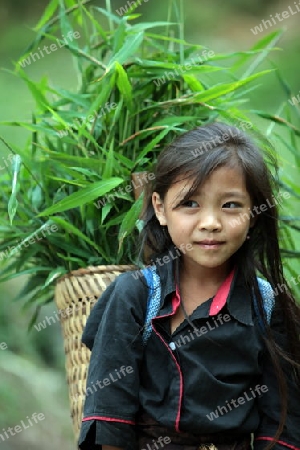 Menschen in der Landschaft in der Bergregion beim Dorf Kasi an der Nationalstrasse 13 zwischen Vang Vieng und Luang Prabang in Zentrallaos von Laos in Suedostasien.  