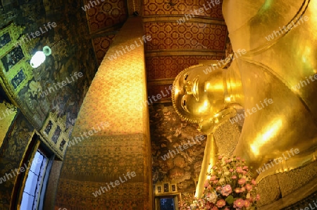 Der Liegende Buddha in der Tempelanlage des Wat Pho in der Hauptstadt Bangkok von Thailand in Suedostasien.