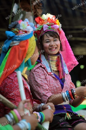 Eine Traditionell gekleidete Langhals Frau eines Paudang Stammes aus Burma lebt in einem Dorf noerdlich von Chiang Mai in Nord Thailand.