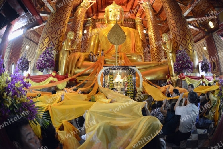 A allday ceremony in the Wat Phanan Choeng Temple in City of Ayutthaya in the north of Bangkok in Thailand, Southeastasia.