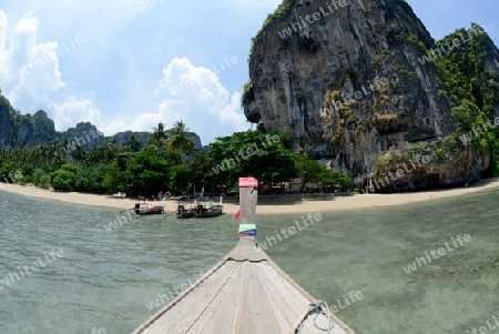 The Hat Tom Sai Beach at Railay near Ao Nang outside of the City of Krabi on the Andaman Sea in the south of Thailand. 