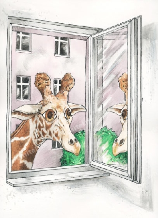 Giraffe schaut durchs Fenster