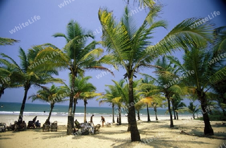  the beach of Anjuna in the Province Goa in India.