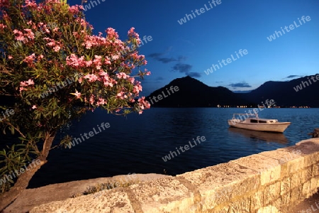 Die Promenade am Zentrum der Altstadt von Persat in der inneren Bucht von Kotor am Mittelmeer  in Montenegro in Europa.    