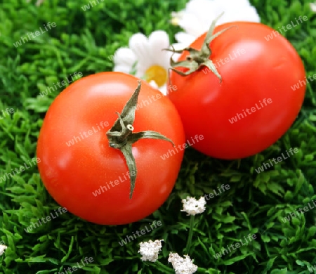 tomaten