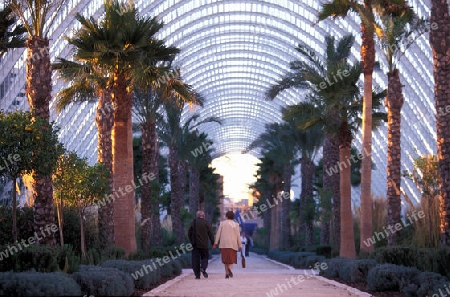 Die Architektur des  Umbracle in der Arichtekturstadt "La Ciutat"  Sued-Westlich des Stadtzentrums  von Valencia