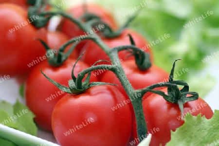 Tomaten