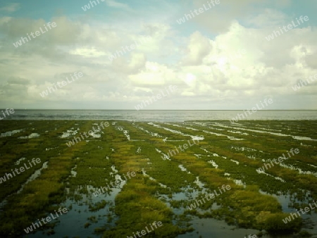 Nordsee