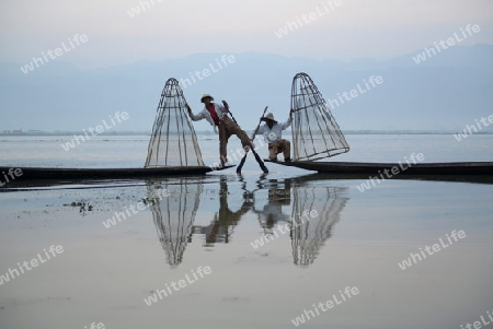 Fishermen at sunrise in the Landscape on the Inle Lake in the Shan State in the east of Myanmar in Southeastasia.