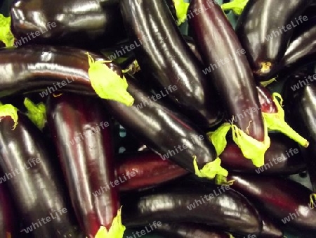 Aubergine