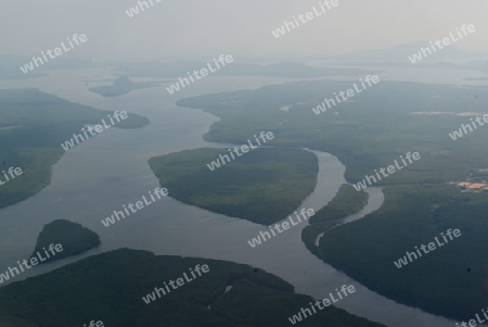 The Rivers  with the mangroves outside of the City of Krabi on the Andaman Sea in the south of Thailand. 