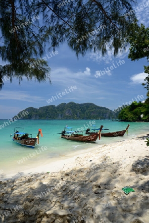 A Beach on the Island of Ko PhiPhi on Ko Phi Phi Island outside of the City of Krabi on the Andaman Sea in the south of Thailand. 