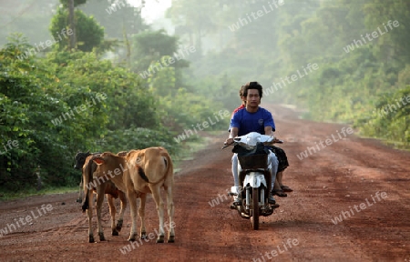 Die Landstrasse 12 beim Dorf Mahaxai Mai von Tham Pa Fa unweit der Stadt Tha Khaek in zentral Laos an der Grenze zu Thailand in Suedostasien.